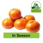 fruits img/10000384_9-fresho-orange-kinnow.jpg
